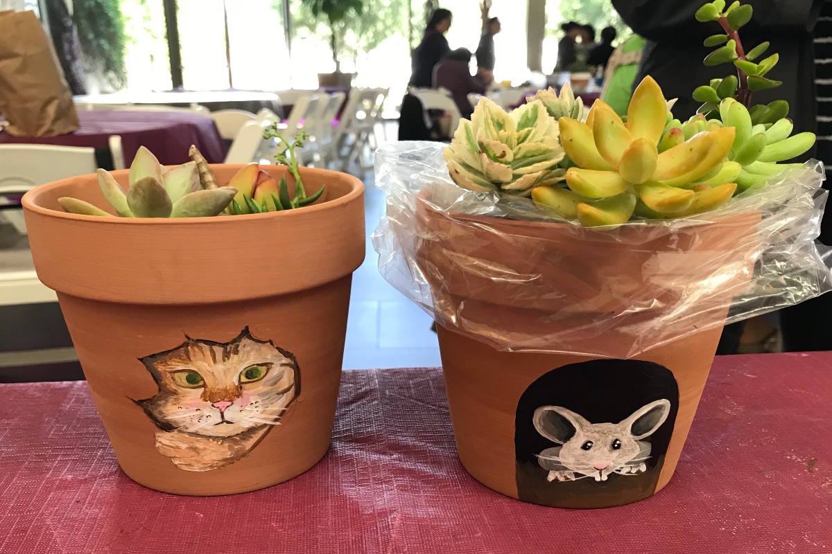 Anne's Treasures | Painted Clay Pots with Succulent Plants